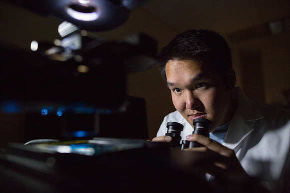 Undergraduate research, School of Pharmacy