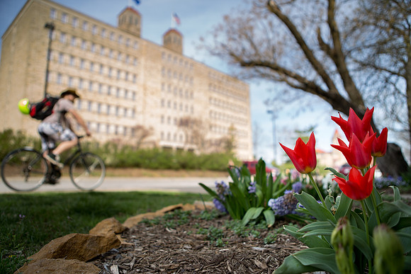 Lawrence Campus