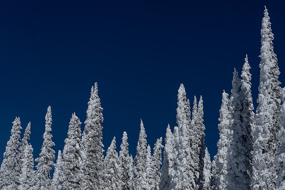 2019.02.Yellowstone.0178