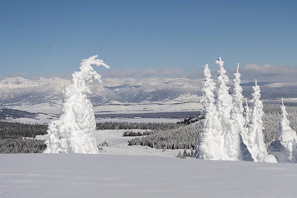2019.02.Yellowstone.0320