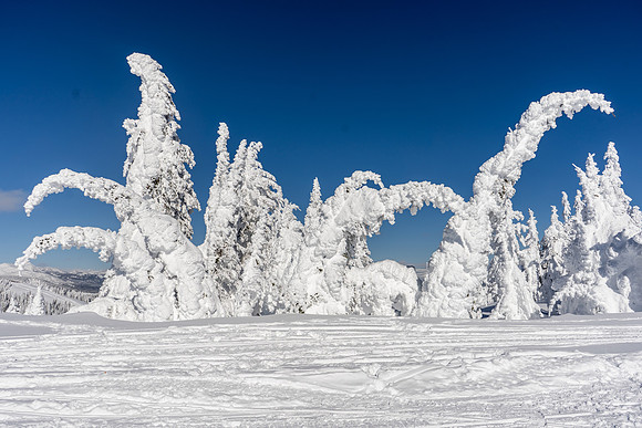2019.02.Yellowstone.0343