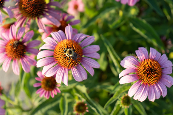 DSC09051