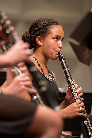Midwestern Music Camp: 2015