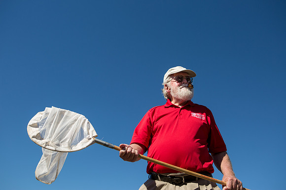 Outreach, Ecology & Evolutionary Biology