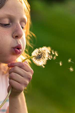 IMG_0372