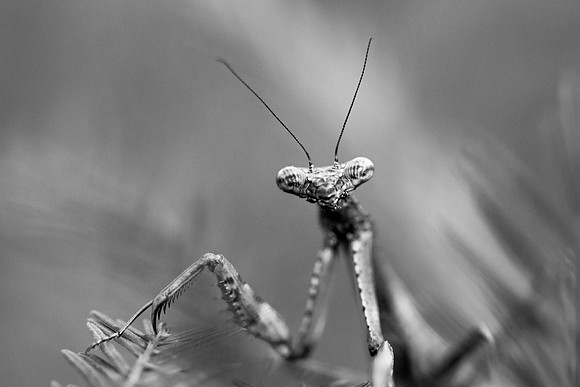 IMG_5626