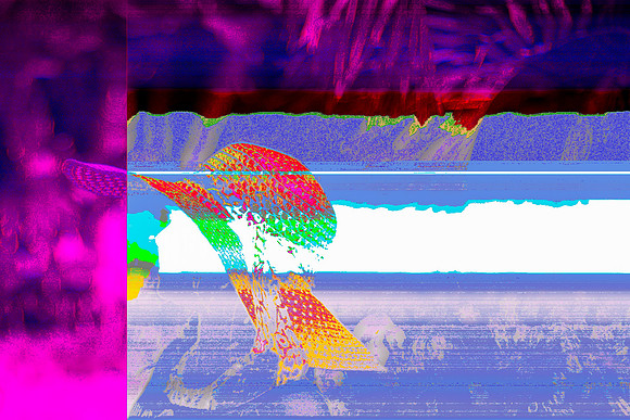 1Z4B4882