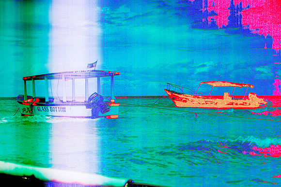 1Z4B7529
