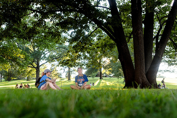 Hawkweek, Undergraduate, Students