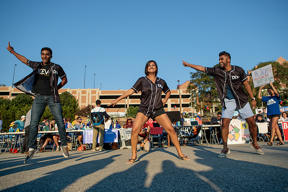 Hawkweek, Undergraduate