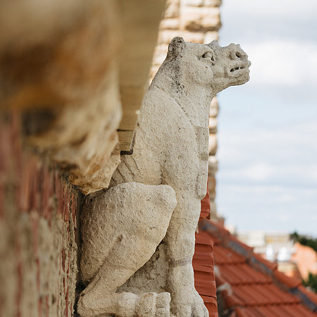 Dyche Grotesques: 2017