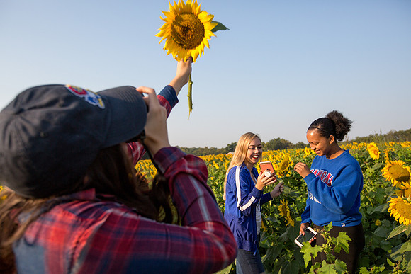 CAMPUS BEAUTY, Region, Students