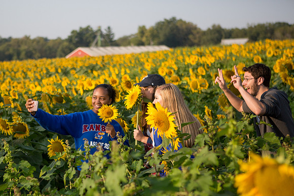 CAMPUS BEAUTY, Region, Students