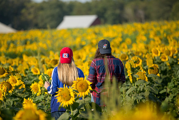 CAMPUS BEAUTY, Region, Students