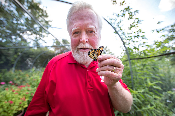 Department of Ecology and Evolutionary Biology, Monarch Watch