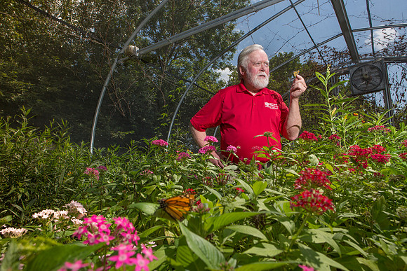 Department of Ecology and Evolutionary Biology, Monarch Watch