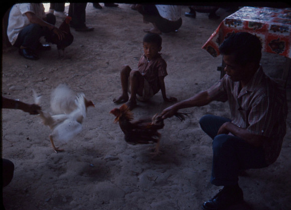 144