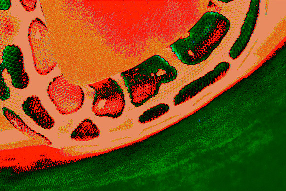 _Z4B2912