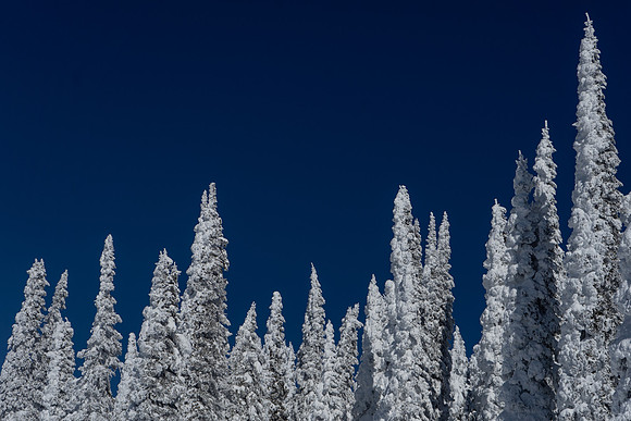 2019.02.Yellowstone.0178
