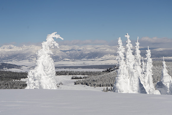 2019.02.Yellowstone.0320