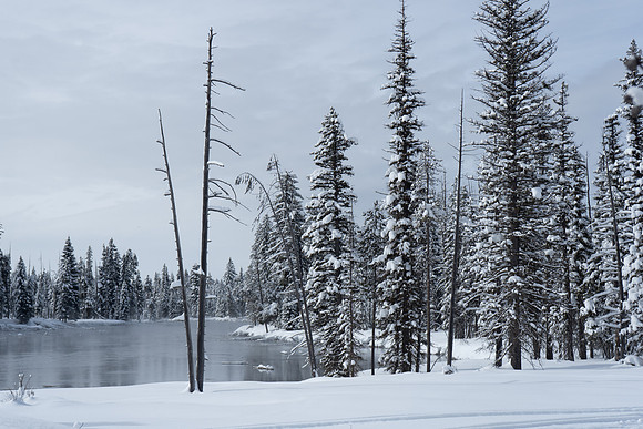 2019.02.Yellowstone.0494