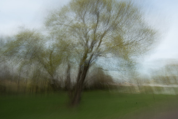 DSC05456