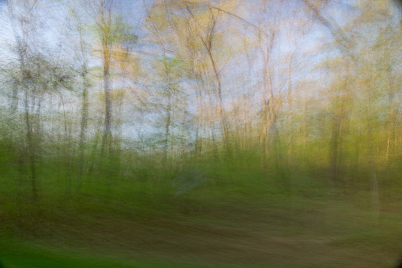 1Z4B6336