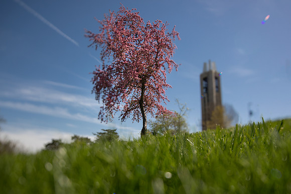 1903565_MK_SpringColorRedbuds.1628.Social