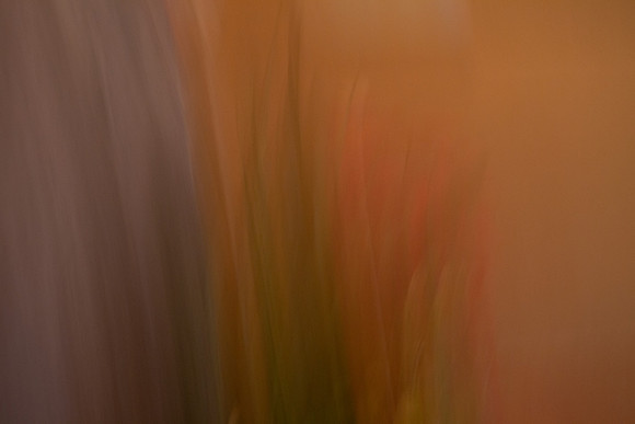 1Z4B0964