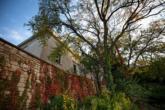 Fall Color: 2020