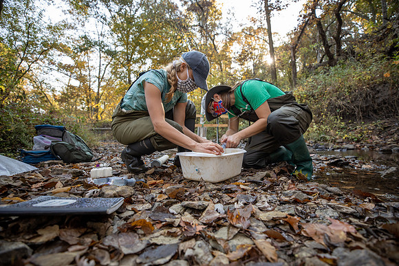 Amy Burgin &  Aquatic Microbiome Research: 2020