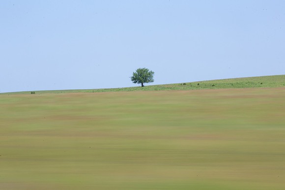 _Z4B9184