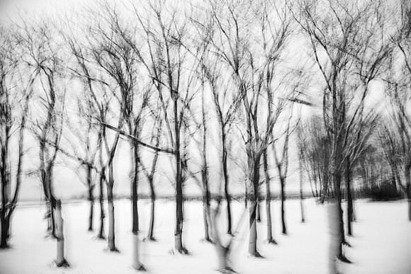 1903490_MK_WinterSnow_1139