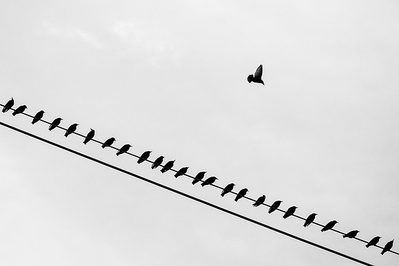 IMG_9189.LR-2