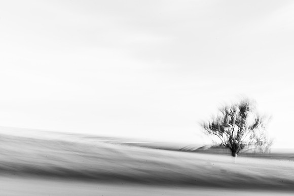 DSC08616
