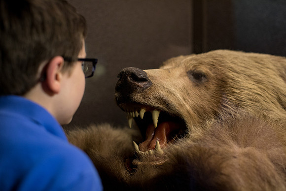 The Natural History Museum, Outreach, Students