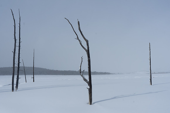 2019.02.Yellowstone.3002